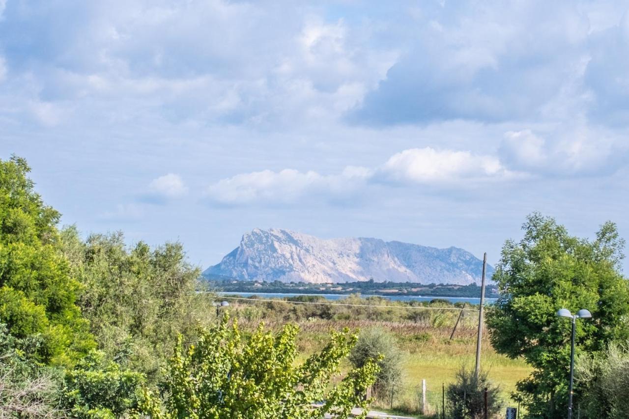 Iss Travel, Pedra Rosa 2 Bedroom Apartments With Private Terrace And Air Conditioning San Teodoro  Bagian luar foto
